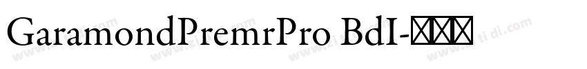 GaramondPremrPro BdI字体转换